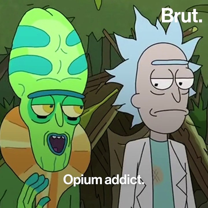 These Indian Parrots Are Addicted To Opium