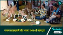 Dog Lover | অবলা সারমেয়রাই বেঁচে থাকার রশদ এই পরিবারের, তাঁদেরকে নিয়েই কাটে সারাদিন!