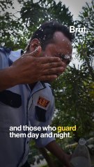 When Security Guards Assaulted A Resident