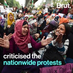 Raj Thackeray Sees No Point In Anti-CAA Protests