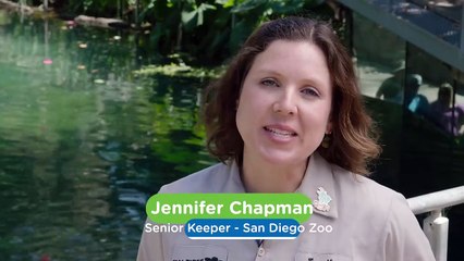 Why A Water Cannon and a Sweet Treat Are All This Happy Hippo Needs!