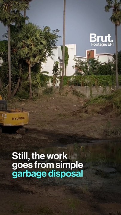From Google Associate To Lake Cleaner