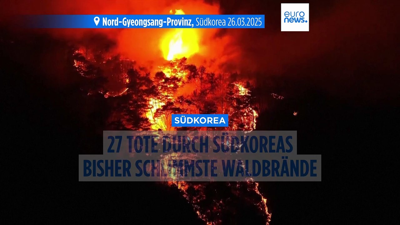 Südkorea: Verheerendste Waldbrände der Geschichte