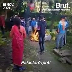 Salman Khurshid’s House Vandalised In Nainital