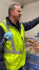 Coulisses de la criée de Dieppe : jusqu'à 60 tonnes de coquilles Saint-Jacques chaque jour