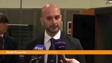 Nucleare, Procaccini "Il punto non è 'se', ma 'quando'"