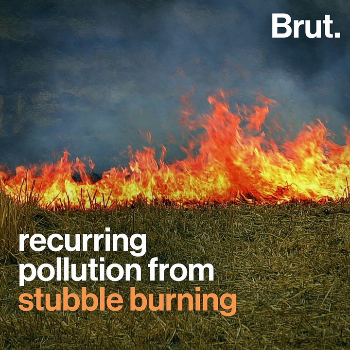 Why Can’t Delhi Fight Winter Pollution?