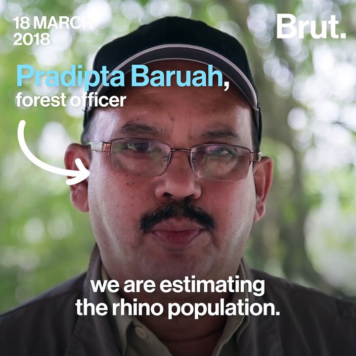 Rhino Census in Pobitora