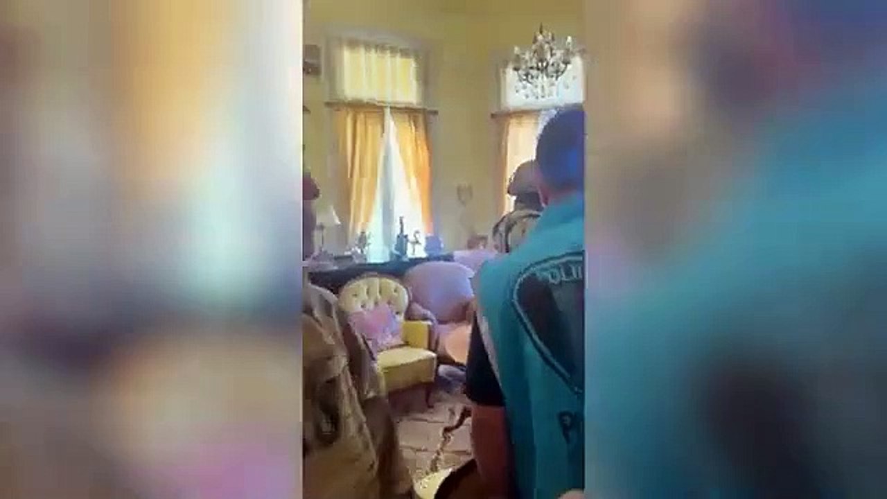 Clausuraron un criadero ilegal de gatos en Constitución