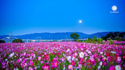 Top astronomy events for April 2025