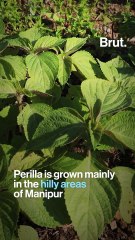 Revealing Ancient Skincare Secrets