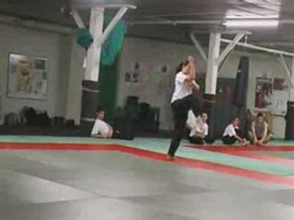 4ème quyen Long Ho Hoi adulte par Mylène