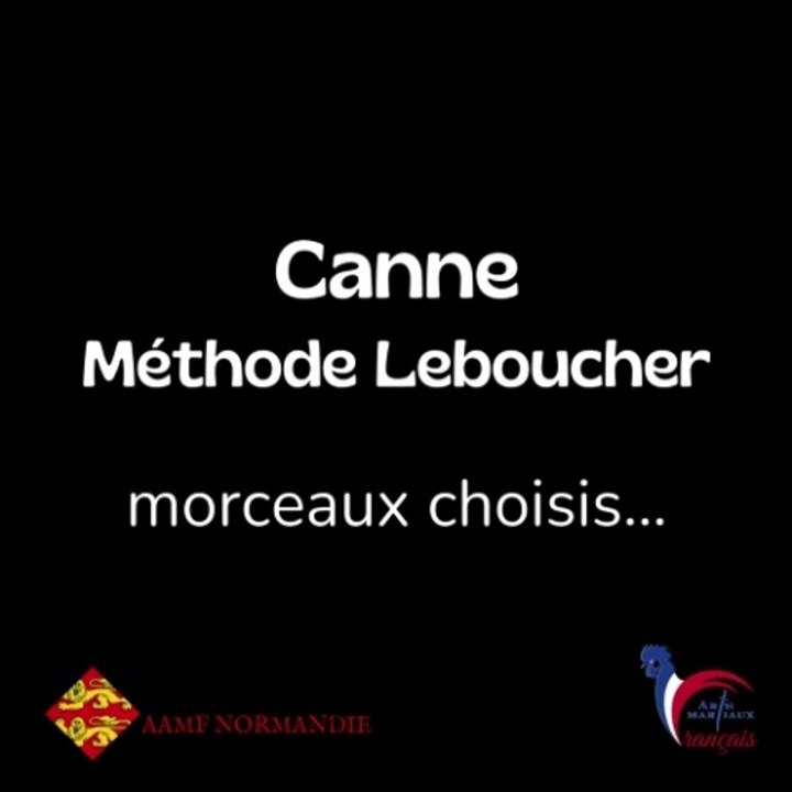 Canne Méthode Leboucher - Arts Martiaux Français
