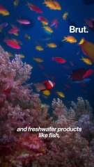 Five Things On The Indus Valley Menu