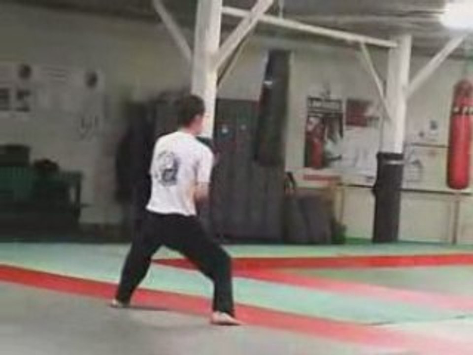 3ème quyen Long Ho Hoi adulte par Jean -Christophe