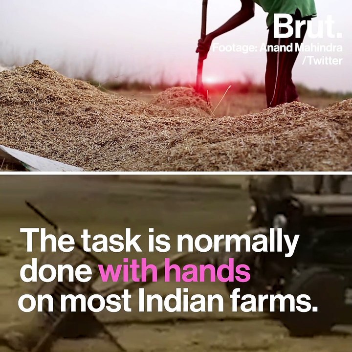 India’s Best Quick Fix Remedies