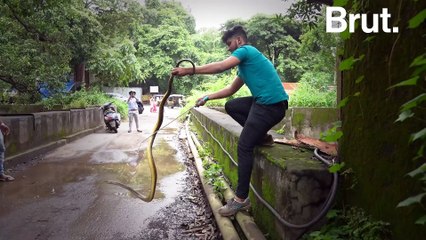 A Day In The Life Of A Snake Rescuer
