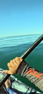 Pescadores em caiaque são cercados por tubarões em Saquarema