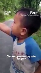 The Boy Who Cried Chicken