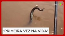 Homem ‘pesca’ sucuri no Rio Araguaia e se surpreende
