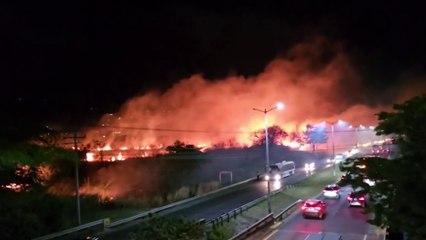 tn7-oij-y-sinac-realizan-inspeccion-en-parque-lorne-ross-270325