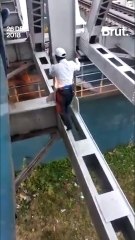 Train guard risks life to keep train running