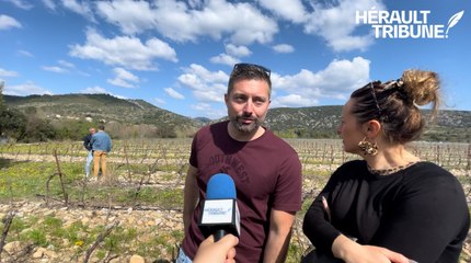 Agriculture repensée en vallée de l'Hérault : interview de Julien Perez et Maeva Spies, apiculteurs installés à Aniane