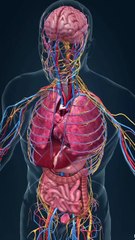 Parts Is Part – Don’t Get Rid of Them Just Yet!