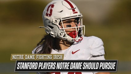 Notre Dame needs to pursue these players IF they enter the transfer portal