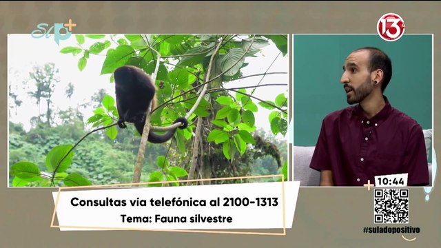 Entrevista - Fauna Silvestre