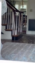 Male Turkey Breaks Front Door Glass And Enters Inside House