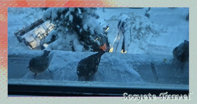 Facebook Profil Resmi Başlığı Fikirleri