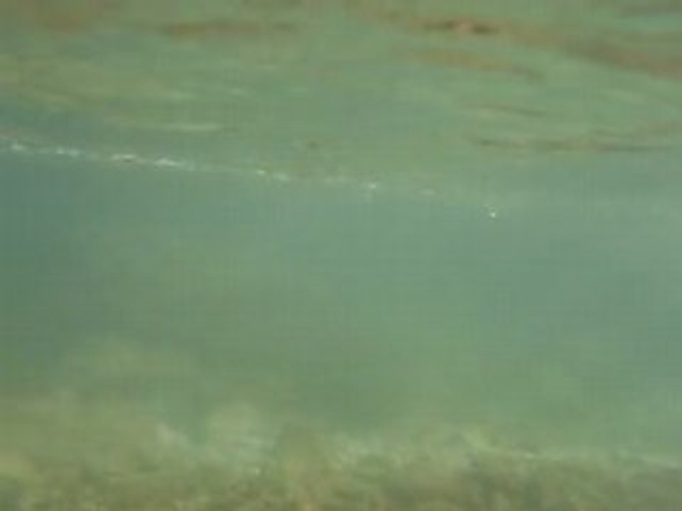 Essai 1