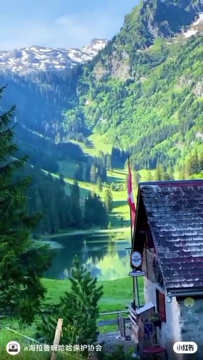YouCut_20250324_025335404