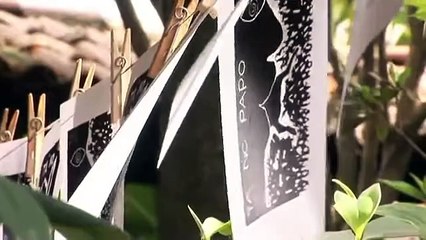 Sementes do Nosso Quintal | movie | 2014 | Official Trailer