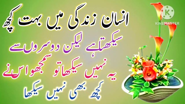 Insan Apni Zindagi Me💯! Best Urdu Quotes💥! Golden Words🔥! Urdu Islamic quotes🔥! ISLAMIC URDU MEWAT