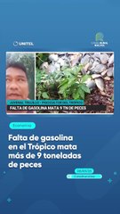 Falta de gasolina en el Trópico mata más de 9 toneladas de peces