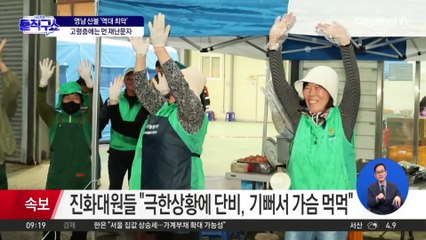 ‘화약 역할’ 하는 침엽수…경북 산림의 절반