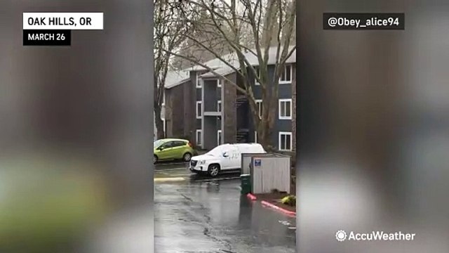 Thunderstorms rumble through the Pacific Northwest