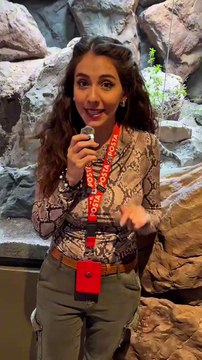 Museo del Desierto: ¿qué especies silvestres puedes encontrar?