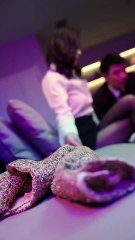 职场达人必看！最新短剧合集🔥