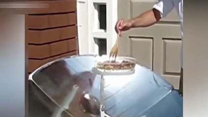 مواقف مضحكة للكبار         Funny situations for adults