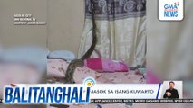 Malaking sawa, pumasok sa isang kuwarto | Balitanghali