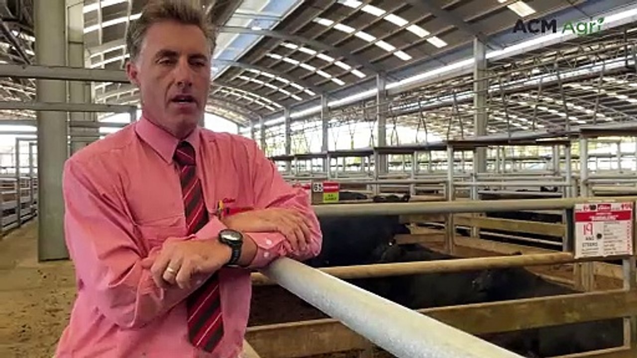 Interstate buyers underpin strong prices at Naracoorte store cattle sale