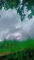 My vileg so beutifull