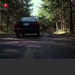 No podrás adivinar cuántjos ciervos la atacan dura_1743069877043