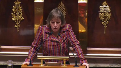 2ème séance : Dans un contexte d'évolution démographique : Quels enjeux pour notre politique familiale ? ; Le devenir de la filière automobile en France et en Europe - Jeudi 27 mars 2025