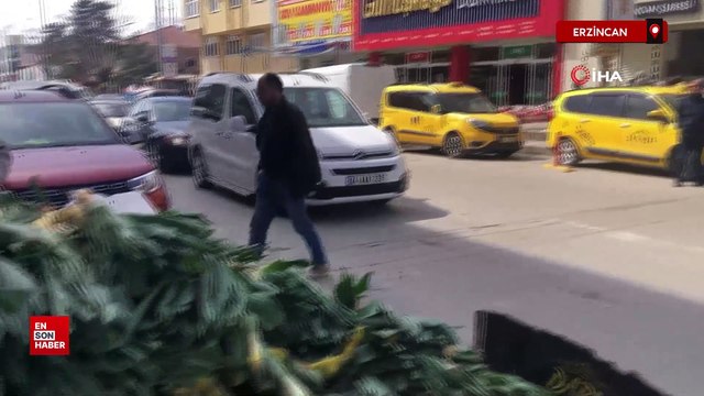 Erzincan'da doğal antibiyotik ‘çiriş otu' tezgahlarda yerini aldı