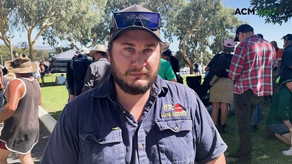 Wool and livestock buyer voices concerns over live sheep export ban