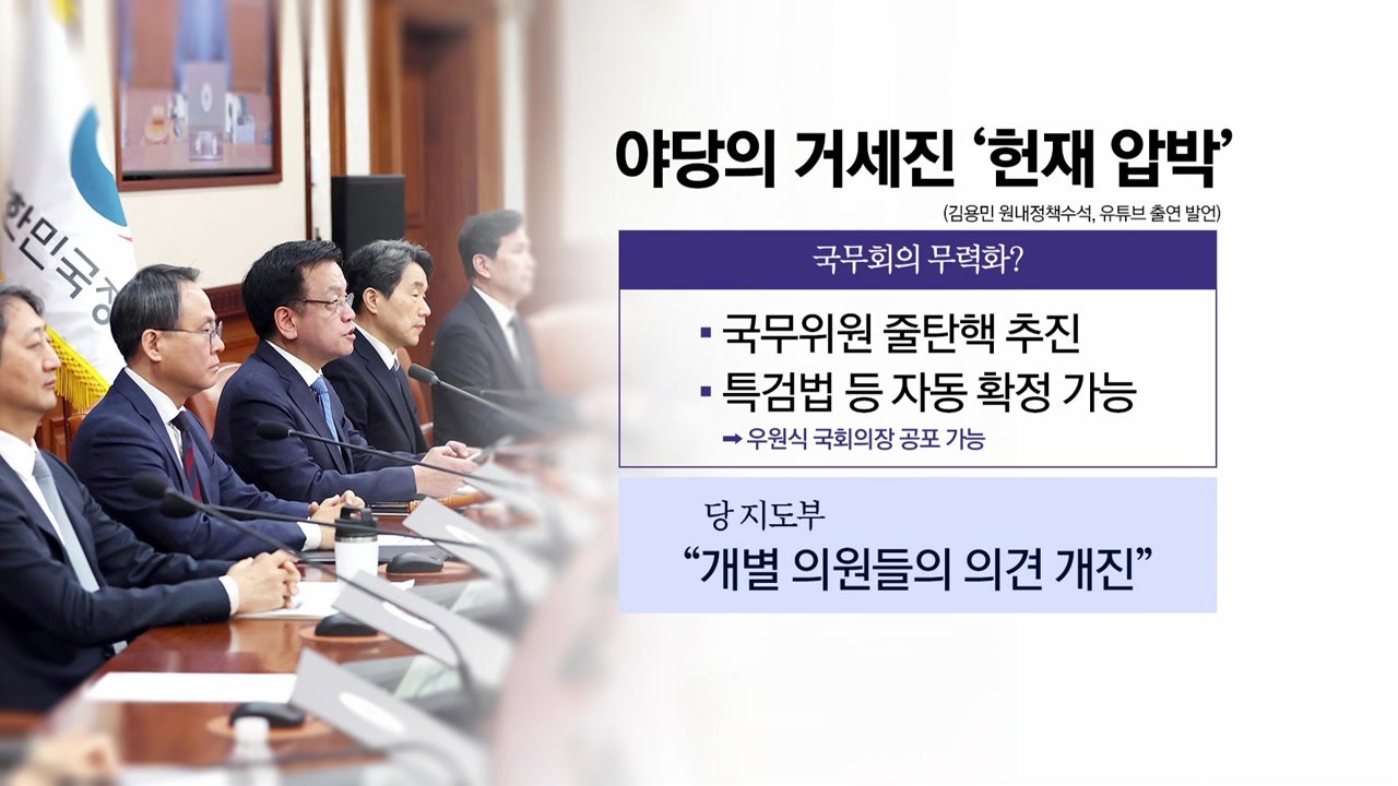 "국민투표로 대통령 파면 가능"..."개별 의원 목소리" [앵커리포트] / YTN